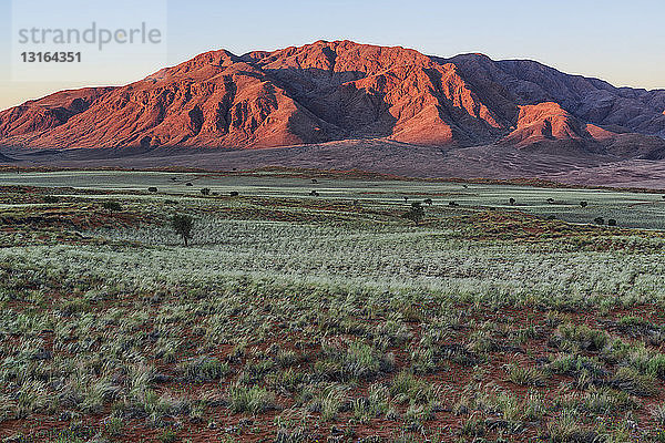 Das NamibRand-Naturschutzgebiet  Namibia