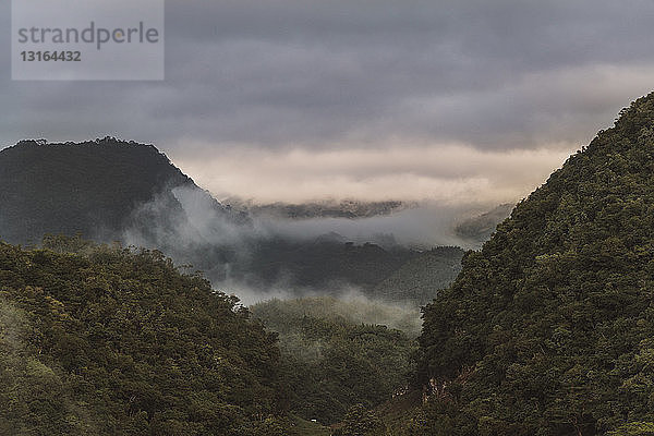 Blick auf Morgennebel und Berge  Lanquin  Alta Verapaz  Guatemala  Mittelamerika