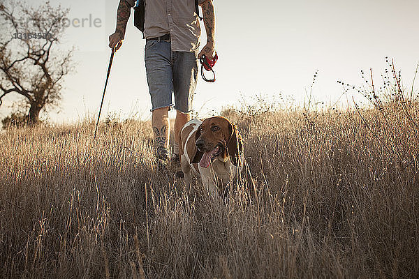 Schnappschuss eines reifen Mannes und seines Dachshundes beim Wandern in den Santa Monica Mountains  Kalifornien  USA