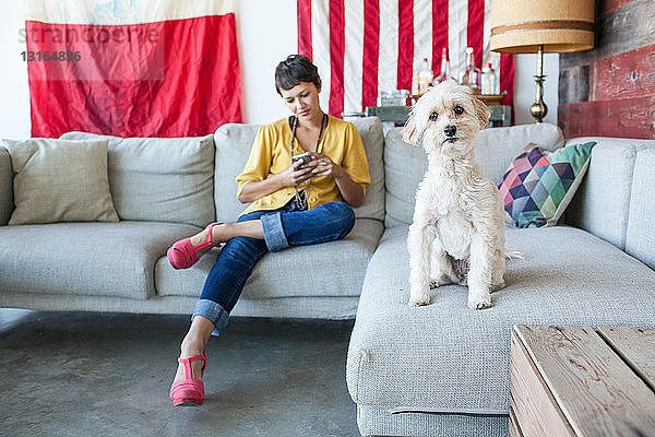 Porträt einer jungen Frau mit Smartphone und niedlichem Hund auf Wohnzimmersofa
