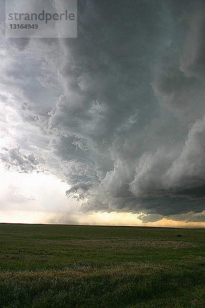 Ausströmende Winde bilden eine dramatische Schelfwolke aus einem Superzellen-Gewitter  Akron  Colorado  USA
