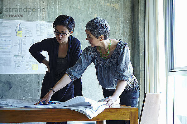 Zwei Geschäftsfrauen studieren Blaupausen im Amt