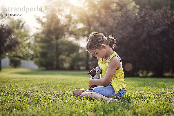 Mädchen sitzt auf Gras und hält Boston-Terrier-Welpen