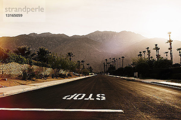 Stoppschild am Highway  Palm Springs  Kalifornien  USA