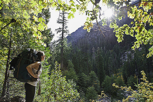 Junge Wanderin im Wald  Trinity Alps  Kalifornien  USA