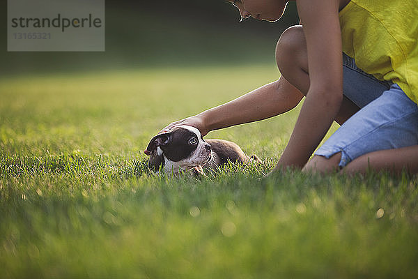 Seitenansicht eines auf Gras knienden Mädchens  das einen Boston-Terrier-Welpen streichelt