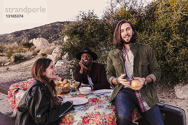 Drei erwachsene Freunde beim Picknick in der Wüste  Los Angeles  Kalifornien  USA