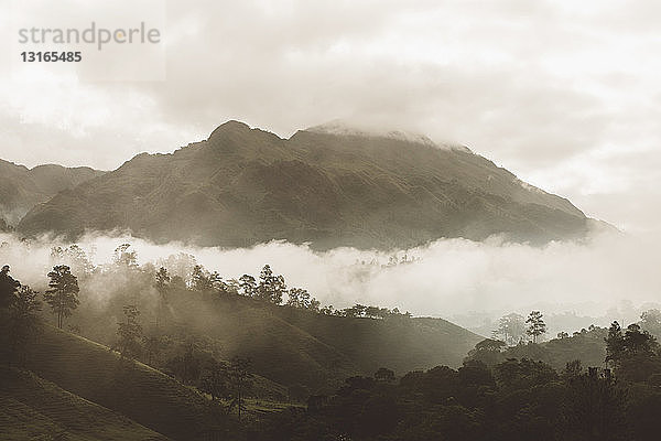 Blick auf den Morgennebel im Bergtal  Lanquin  Alta Verapaz  Guatemala  Mittelamerika