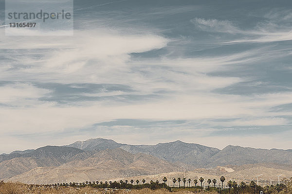 Fernsicht auf Windpark und Berge  Palm Springs  Kalifornien  USA