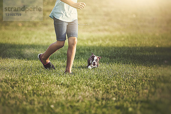 Taille eines Mädchens  das mit einem Boston-Terrier-Welpen auf Gras läuft