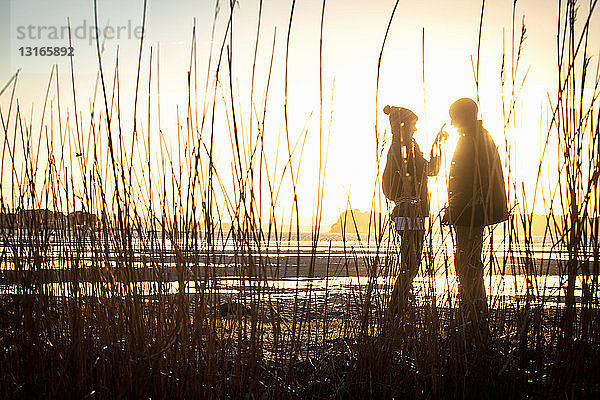 Silhouette eines romantischen jungen Paares am Strand