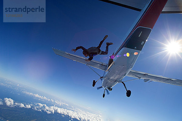 Fallschirmspringer springt vom Flugzeug über die Nordküste von Oahu  Hawaii