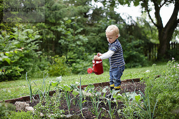 Kleinkind Junge gießt Pflanzen im Garten