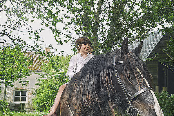 Drei Jungen reiten zu Pferd auf dem Bauernhof