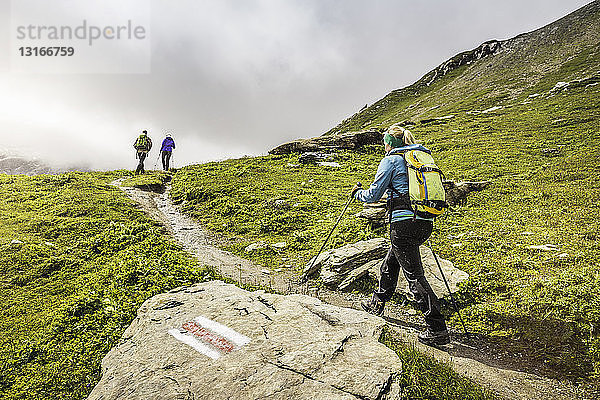 Rückansicht von drei Wanderern  die den Pfad hinaufwandern  Fil de Cassons  Segnesboden  Graubünden  Schweiz