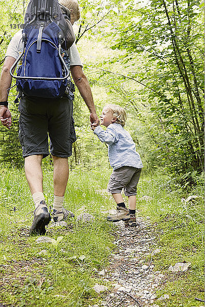 Ausgewachsener männlicher Wanderer wandert mit zwei Söhnen im Wald  Bovec  Soca  Slowenien