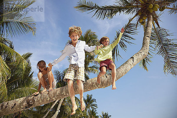 Junge und Schwestern springen von der Palme  Rawa Island Malaysia