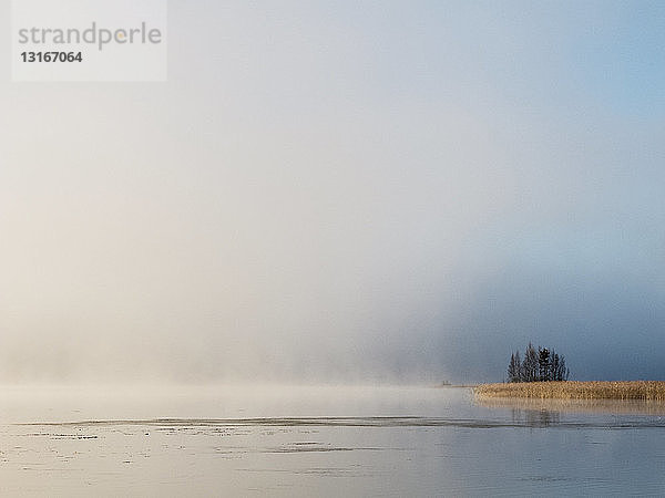 Nebel am Seehorizont in der Morgendämmerung  Orivesi  Finnland