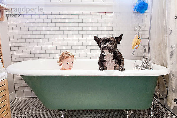 Mädchen sitzt mit Bulldogge in der Badewanne