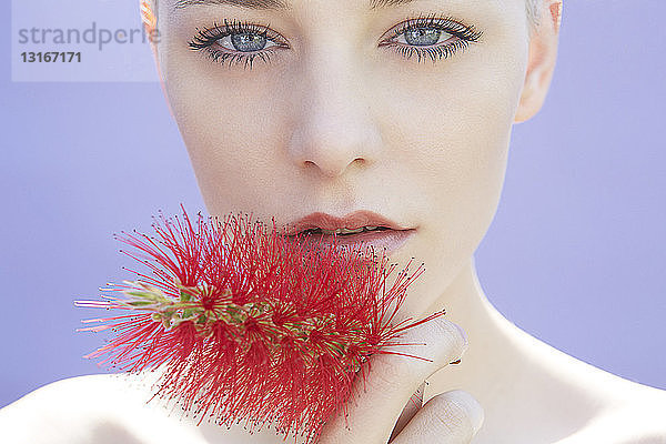 Studiokopfaufnahme einer jungen Frau  die eine Blume an die Lippe hält