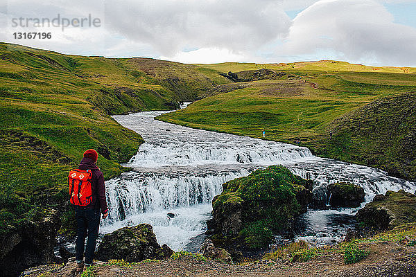 Rückansicht eines mittleren erwachsenen Mannes mit Blick auf einen Fluss  der durch eine üppig grüne Landschaft fließt  Island