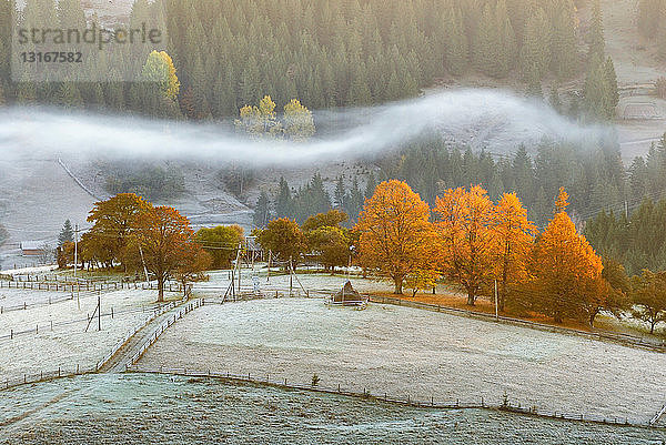 Dorf Krasnik  Karpaten  Region Iwano-Frankiwsk  Ukraine