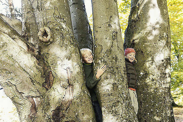 Kinder stehen in der Mitte eines Baumes und schauen lächelnd heraus