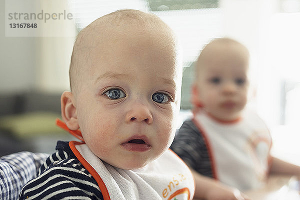 Porträt von starren kleinen Zwillingsbrüdern auf Hochstühlen