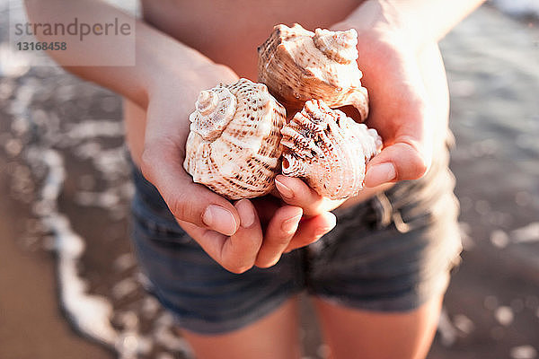 Frau hält Muscheln am Strand