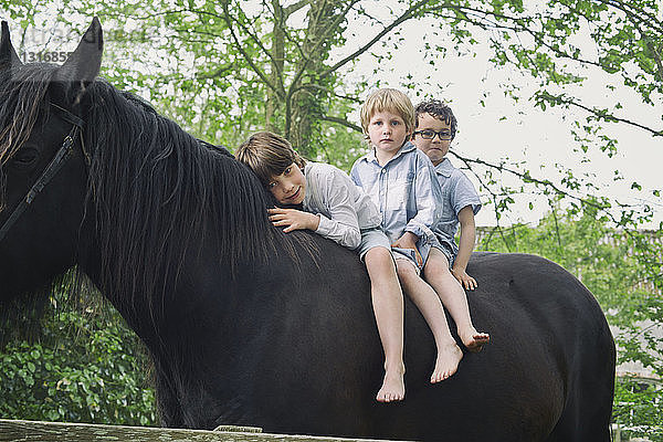 Drei Jungen in einer Reihe auf einem Pferd im Wald reiten