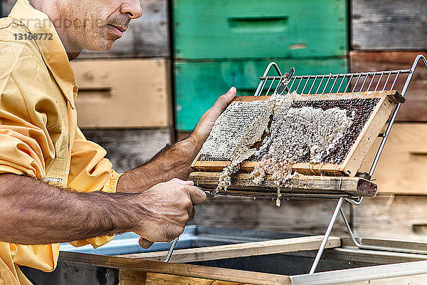 Honeykeeper Entdeckelungsrahmen für Bienenstöcke
