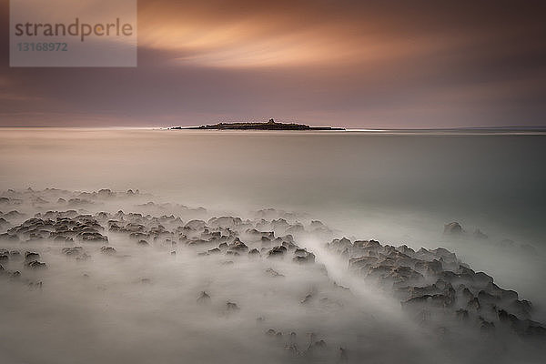 Krabbeninsel  Doolin  Irland