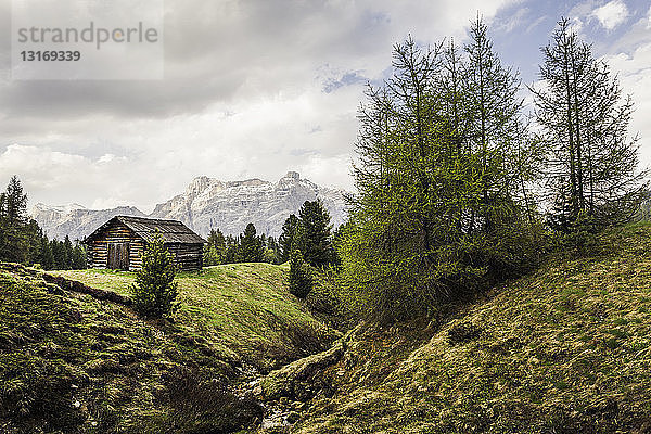 Hütten- und Tannenbäume  Alta Badia Südtirol  Italien