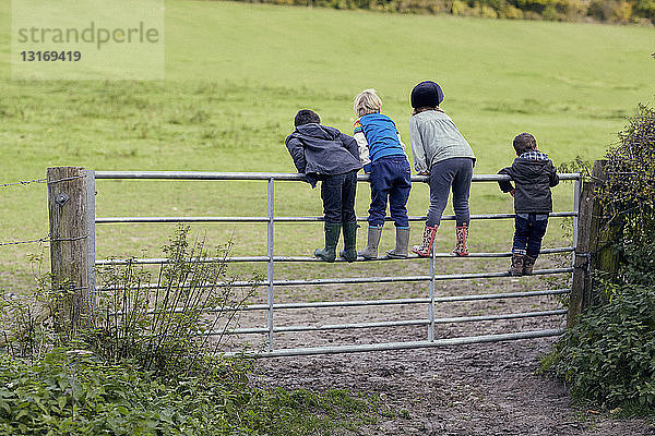 Rückansicht von vier kleinen Kindern  die auf dem Tor stehen und aufs Feld schauen