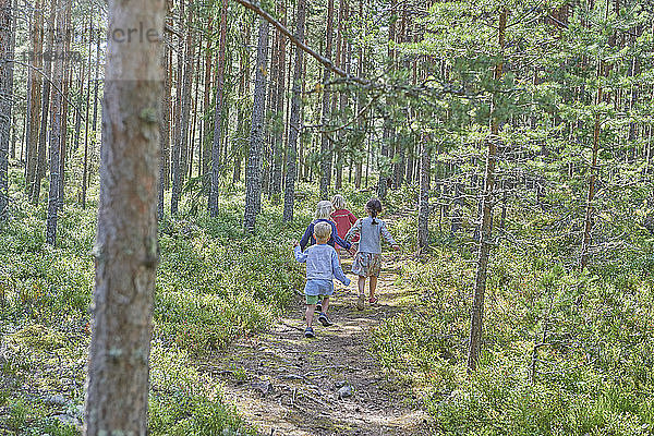 Rückansicht von vier Jungen und Mädchen in Retro-Kleidung beim Waldspaziergang