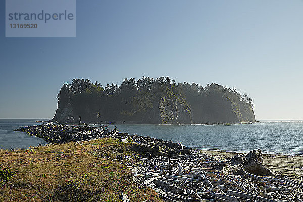 Küstenansicht mit abgestorbenen umgestürzten Bäumen  Puget Sound  Bundesstaat Washington  USA