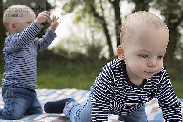 Kleine Zwillingsbrüder spielen auf einer Picknickdecke auf dem Feld