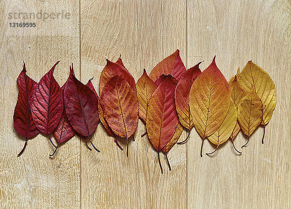 Draufsicht mit einer Reihe von aufeinanderfolgenden Herbstblättern auf dem Tisch