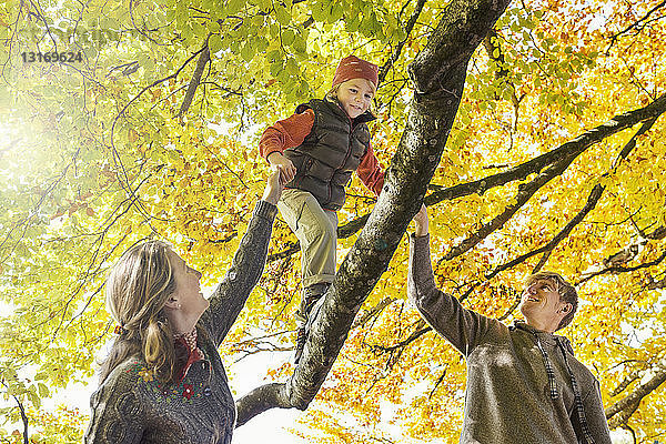 Niedriger Blickwinkel auf Eltern  die dem Jungen im Herbst beim Laufen auf einem Ast helfen