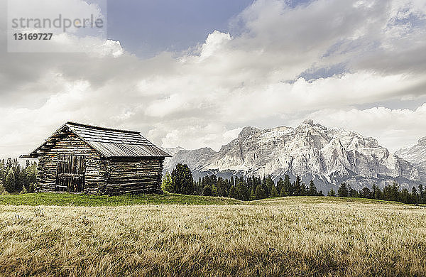 Hütte und Weizenfeld  Alta Badia Südtirol  Italien