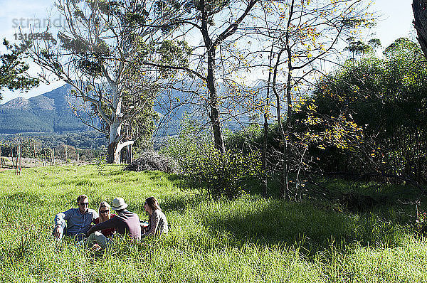 Gruppe von Freunden beim Picknick im hohen Gras