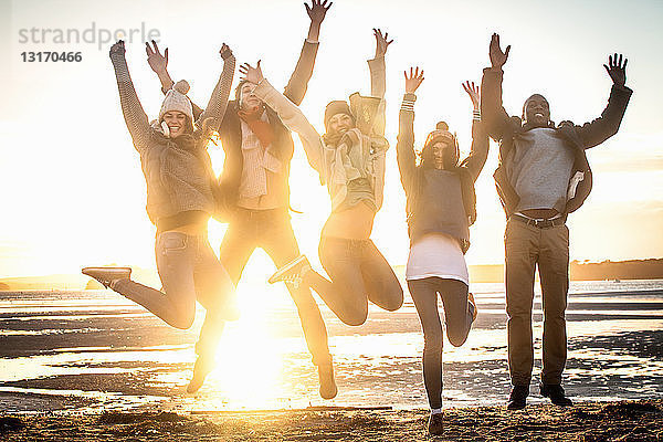 Fünf erwachsene Freunde springen am Strand in die Luft