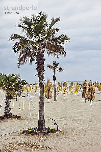 Palmen und gefaltete Sonnenschirme am Strand  Pescara  Abruzzen  Italien