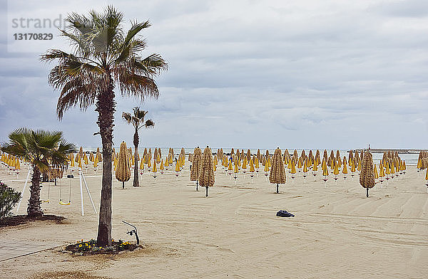 Palmen und Reihen gefalteter Sonnenschirme am Strand  Pescara  Abruzzen  Italien