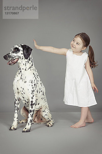 Studioporträt eines weiblichen Kleinkindes und eines Dalmatinerhundes