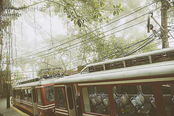 Leerer Personenzug am Bahnsteig bei Nebel  Corcovado  Rio de Janeiro  Brasilien