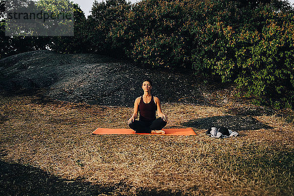 Junge Frau übt Yoga in voller Länge auf dem Feld im Park