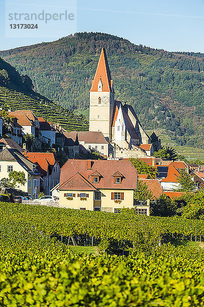 Österreich  Wachau  Pfarrkirche Mariae Himmelfahrt in Weissenkirchen in den Weinbergen an der Donau