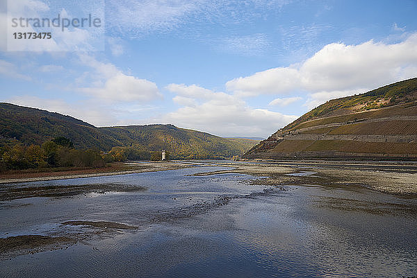 Deutschland  Rheinland-Pfalz  Bingen  Rhein  Ebbe an der Nahemündung  Mäuseturm und Rheinfels