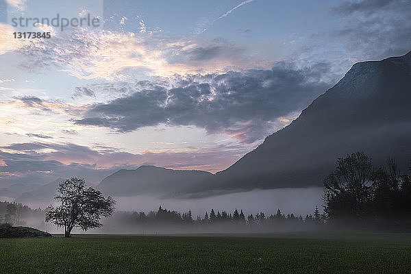 Österreich  Ausseer Land  Landschaft im Morgennebel